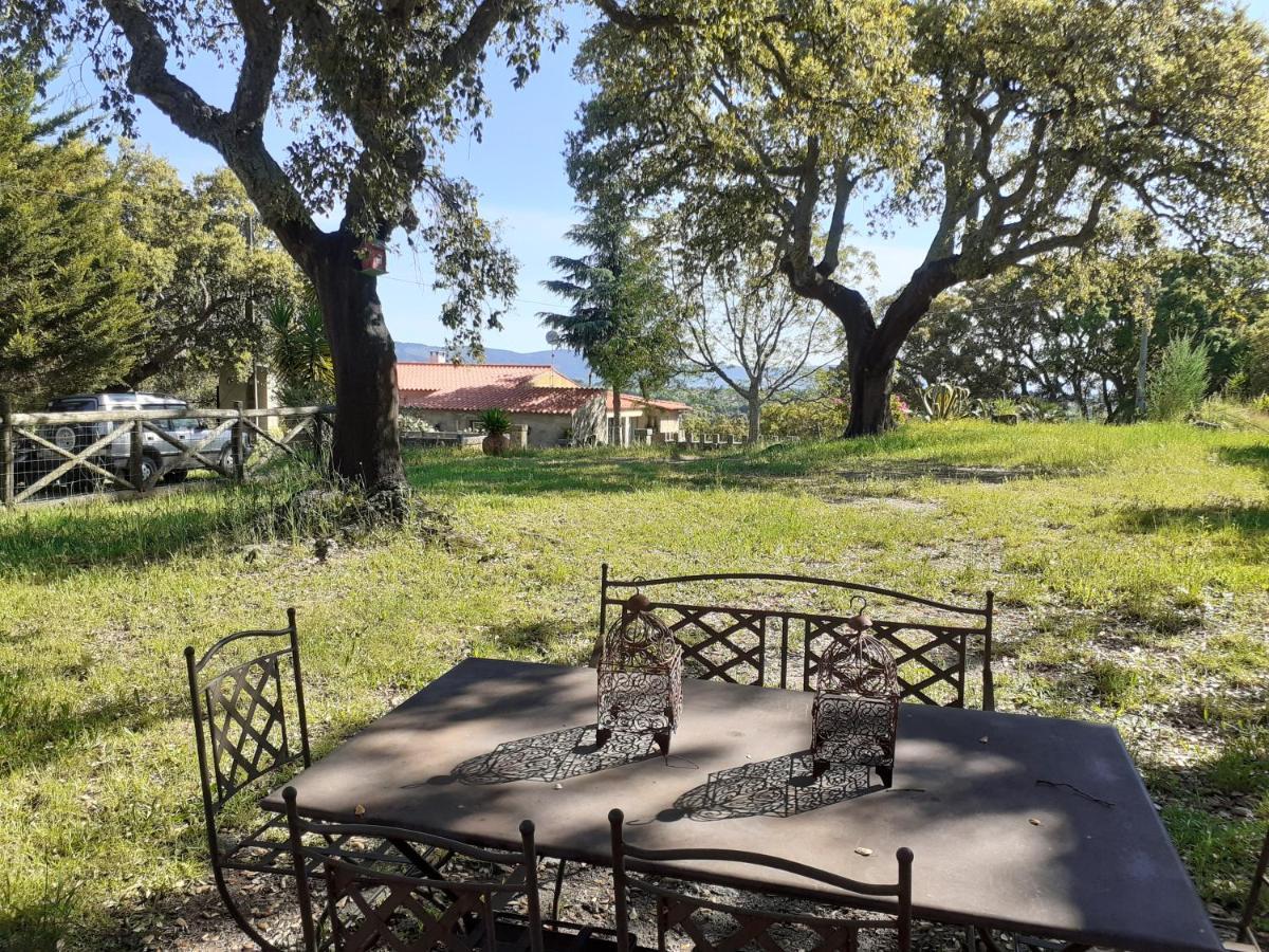 Casa Da Vinha Villa Castelo Novo Dış mekan fotoğraf