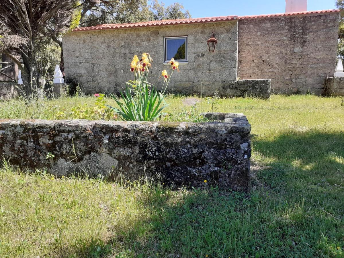 Casa Da Vinha Villa Castelo Novo Dış mekan fotoğraf