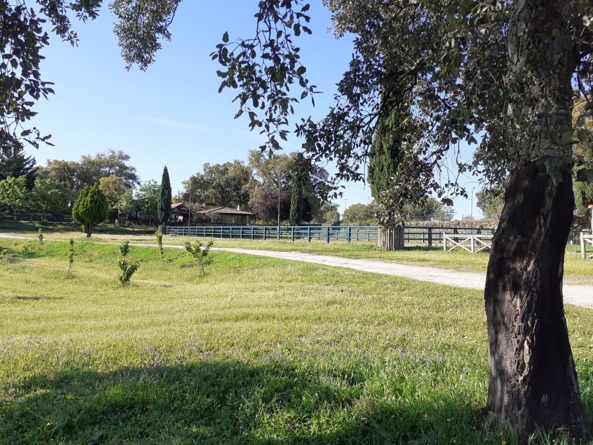 Casa Da Vinha Villa Castelo Novo Dış mekan fotoğraf