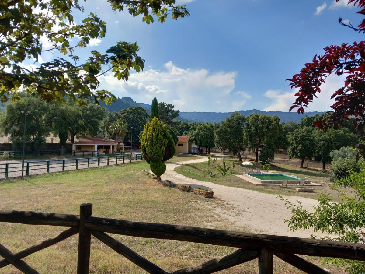 Casa Da Vinha Villa Castelo Novo Dış mekan fotoğraf