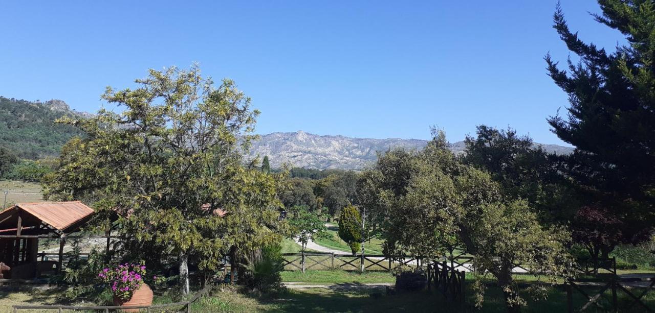 Casa Da Vinha Villa Castelo Novo Dış mekan fotoğraf