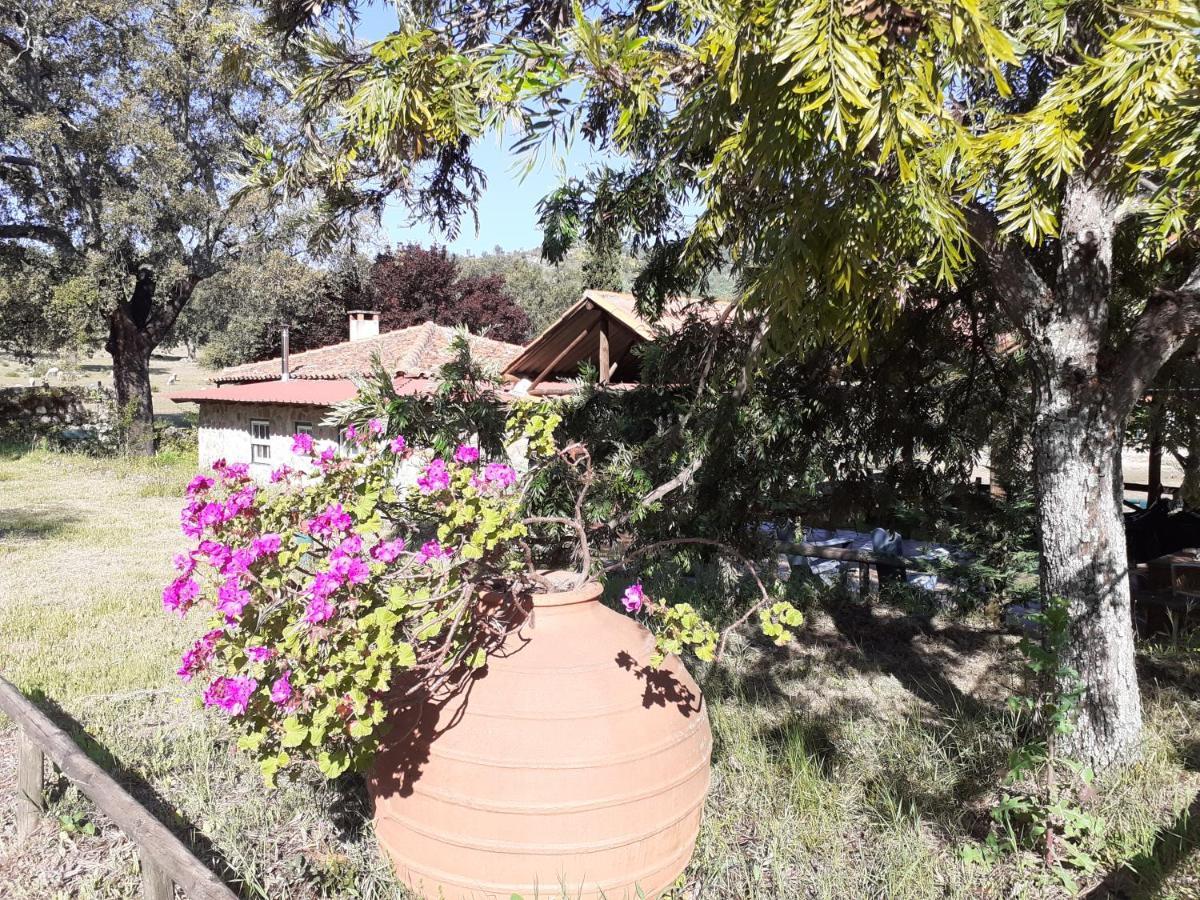 Casa Da Vinha Villa Castelo Novo Dış mekan fotoğraf
