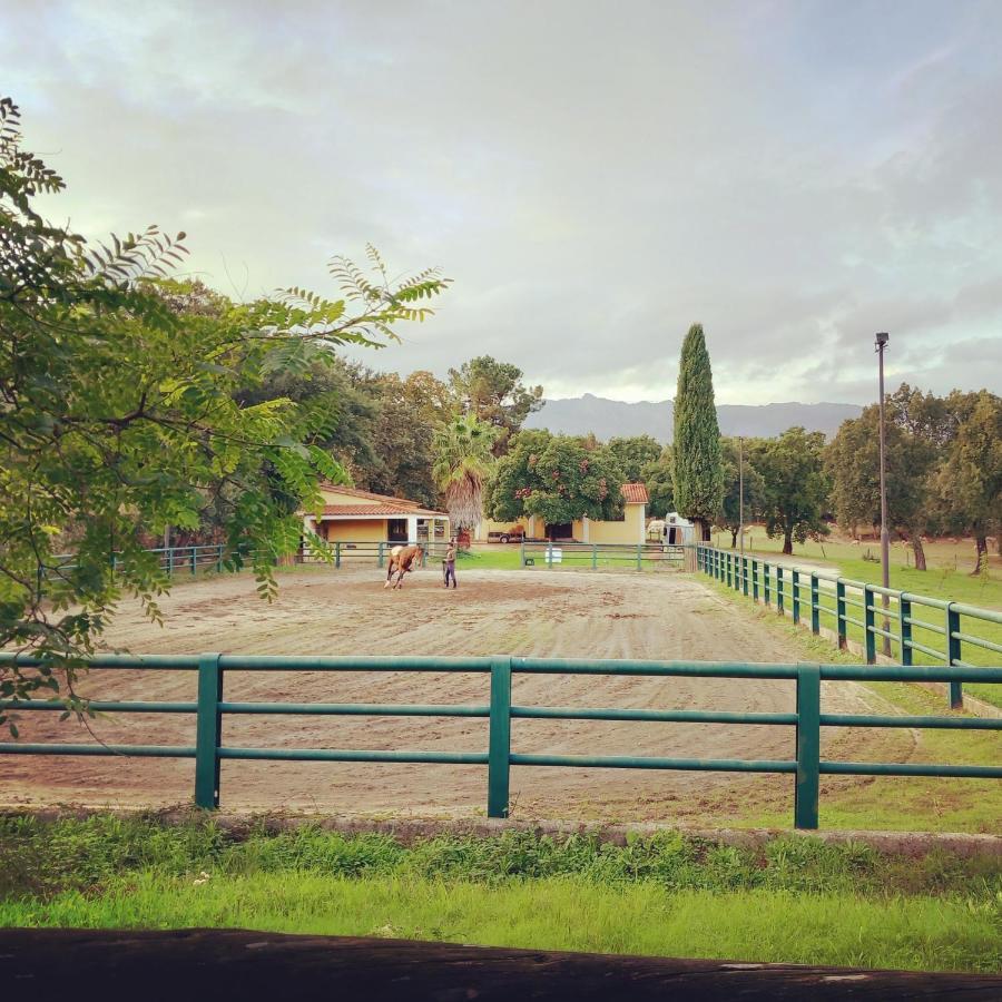 Casa Da Vinha Villa Castelo Novo Dış mekan fotoğraf