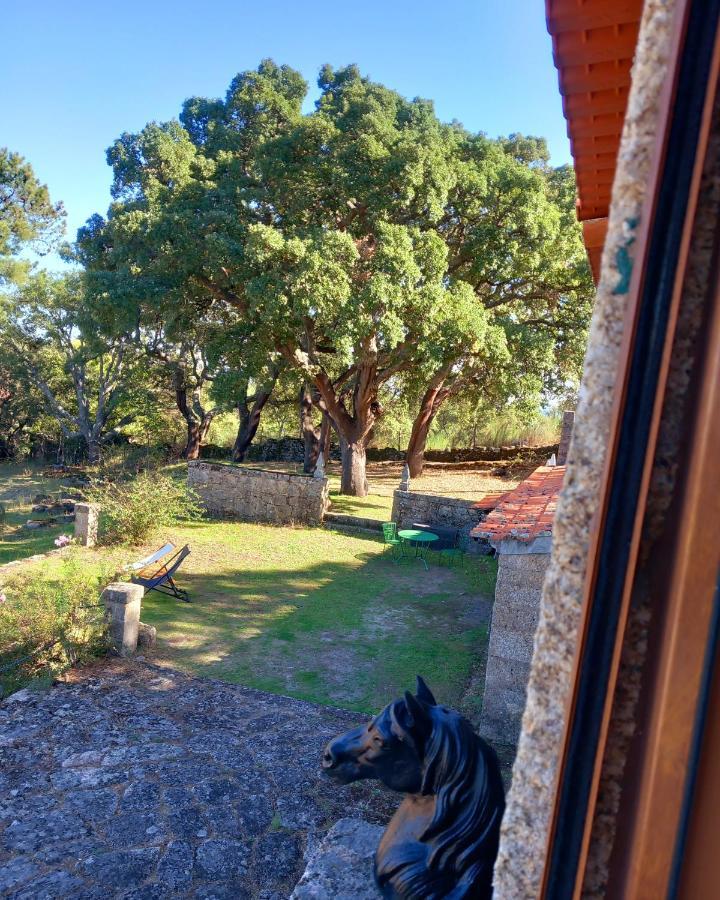 Casa Da Vinha Villa Castelo Novo Dış mekan fotoğraf