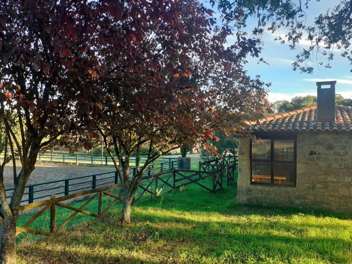 Casa Da Vinha Villa Castelo Novo Dış mekan fotoğraf