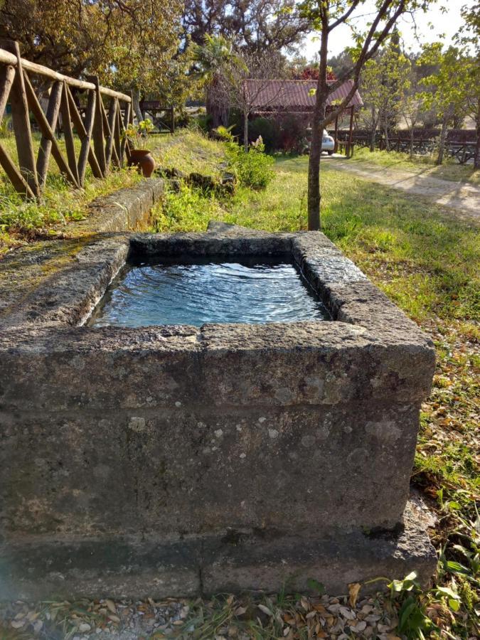 Casa Da Vinha Villa Castelo Novo Dış mekan fotoğraf